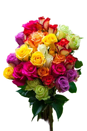Roses Assorted - 60cm