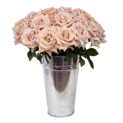 Color Roses Quicksand Sand 60 Cm