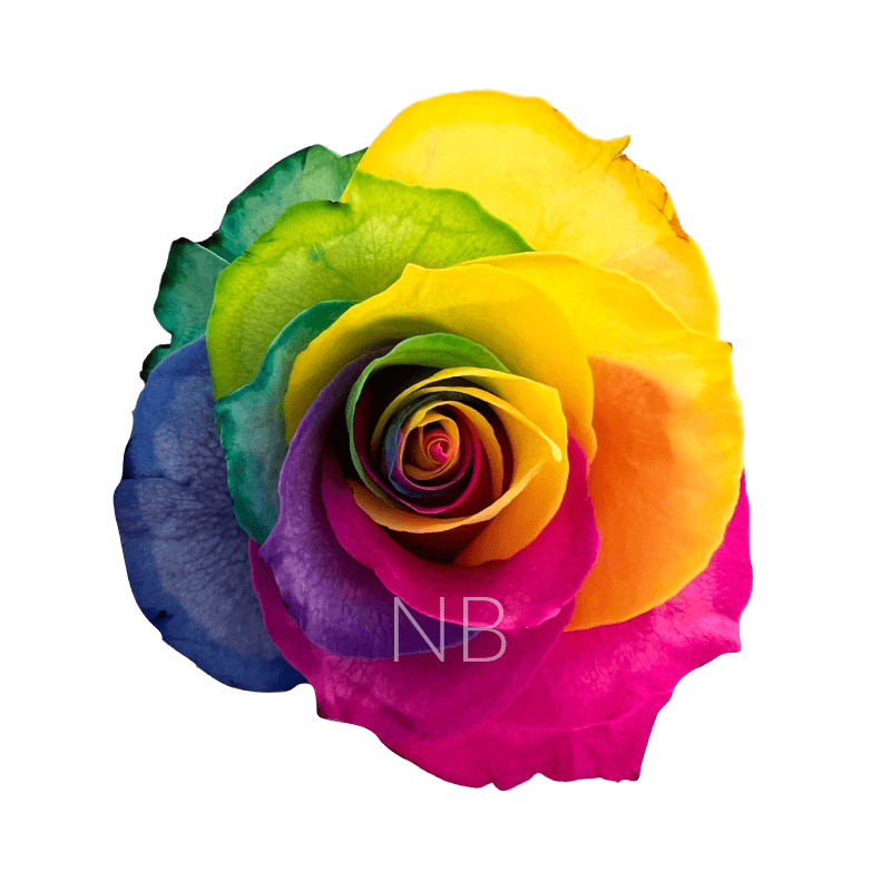 RAZZMATAZZ COFFEE ROSE 50 CM