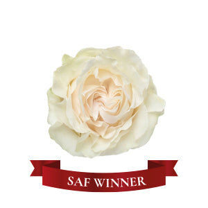 Garden Rose Cotton X-Pression 60cm
