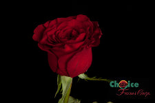 Red Roses Heart Red 60 Cm