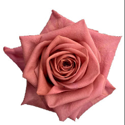 compare product Color Roses Barista Pink Mocha 60 Cm