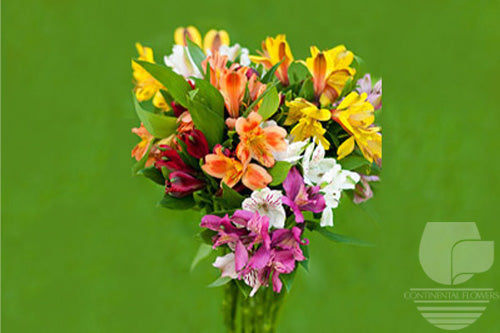 Alstroemerias Assorted - Super Select