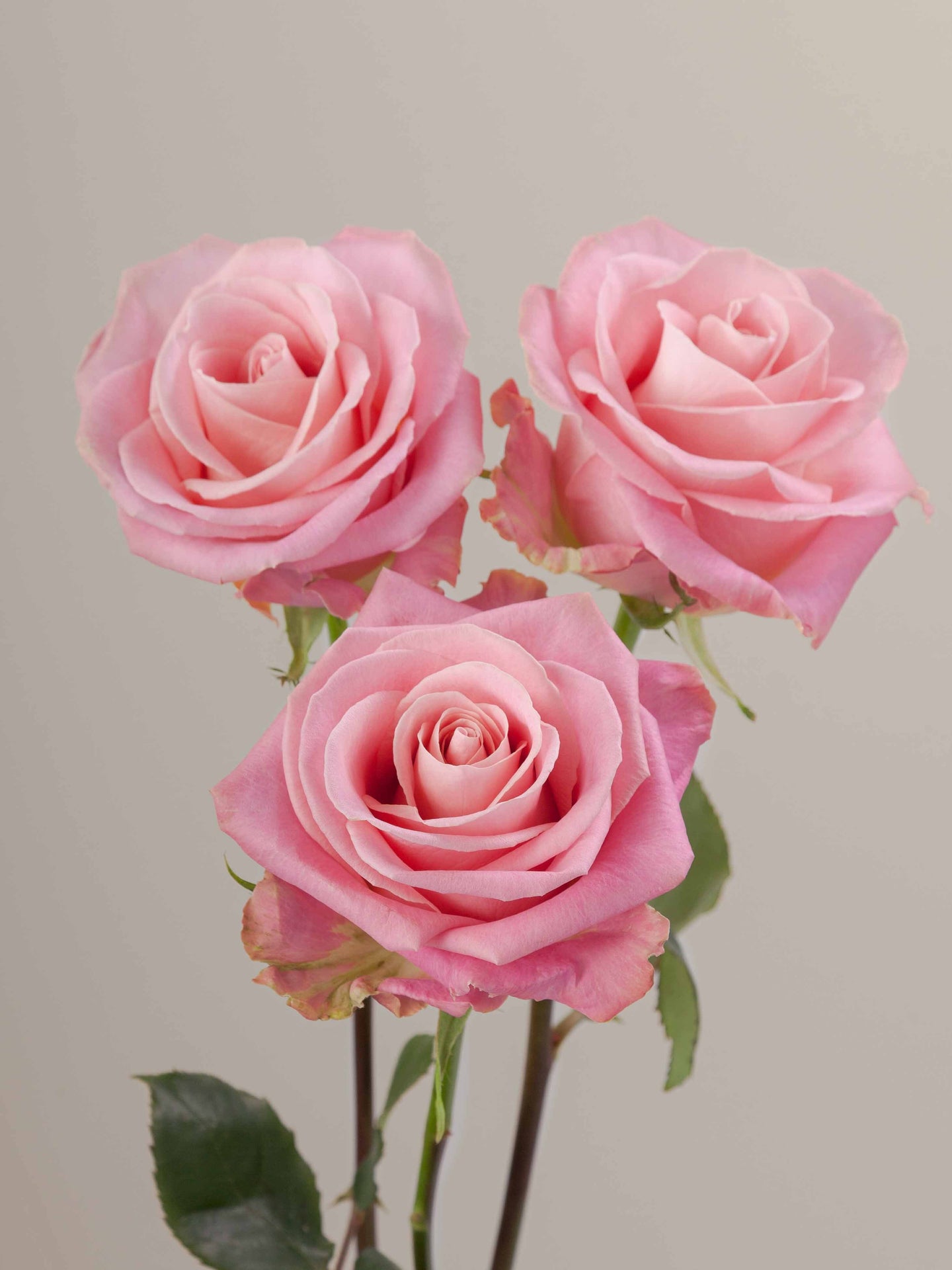 Hermosa_Trio_View.jpg