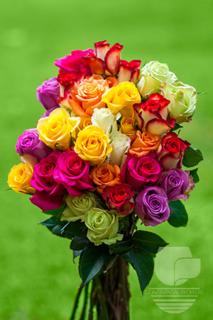 Roses Assorted - 50cm