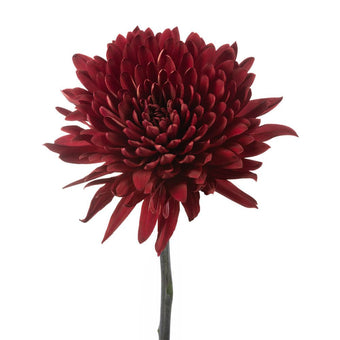 compare product Cremon Red Red Tornado