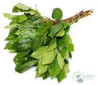 Salal Tips - 25 Pack
