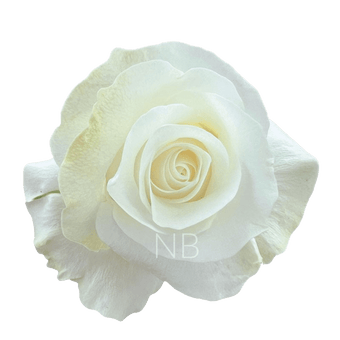 compare product AKITO WHITE ROSE 40 CM