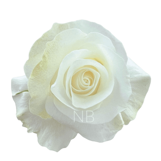 AKITO WHITE ROSE 40 CM