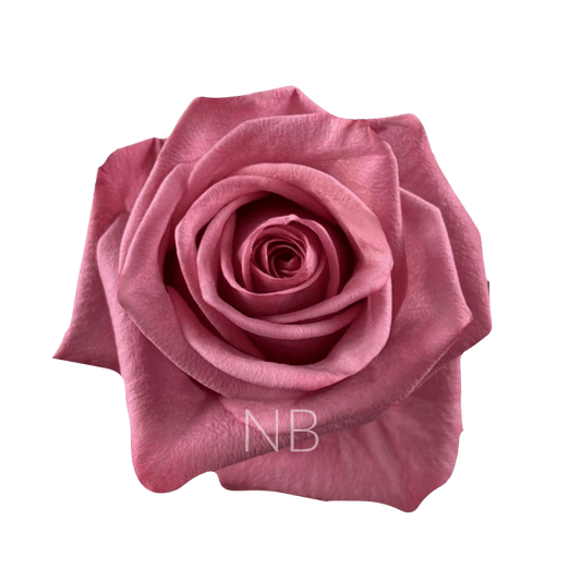 BARISTA COFFEE ROSE 70 CM