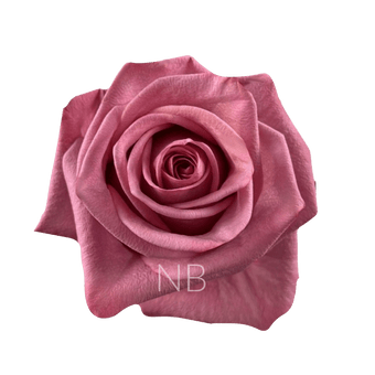 compare product BARISTA COFFEE ROSE 40 CM