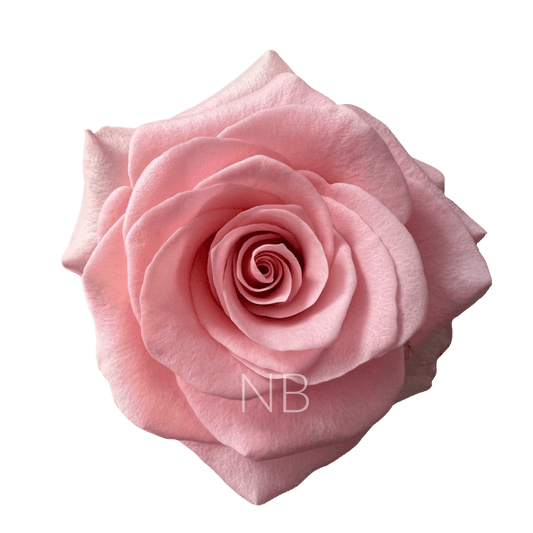 BE SWEET LIGHT PINK ROSE 70 CM