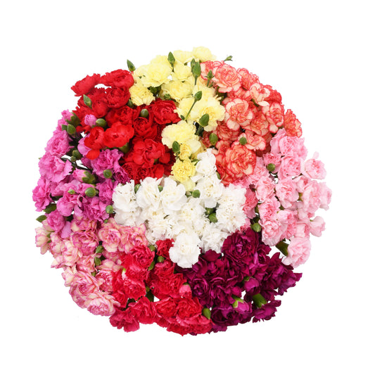 esmeralda-farms-mini-carnation-assorted-WEB-1.jpg