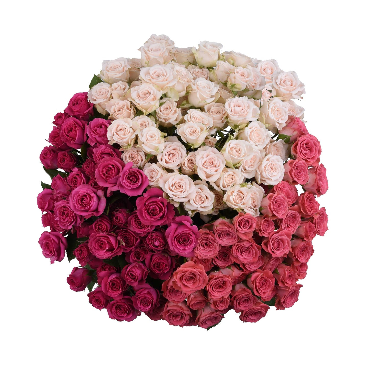 esmeralda-farms-spray-rose-assorted-pink.jpg