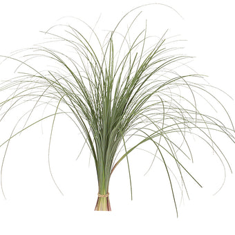 compare product Beargrass - 20 Pack