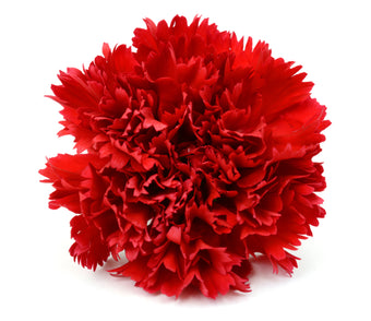 compare product Carnation Red Select