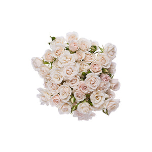 compare product Spray Rose White Majolika 40cm
