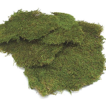 compare product Sheet Moss